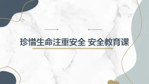 珍惜生命注重安全 安全教育课
