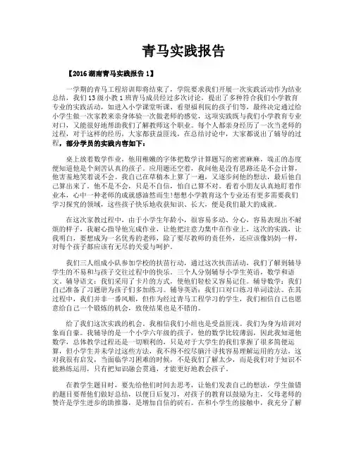 青马实践报告