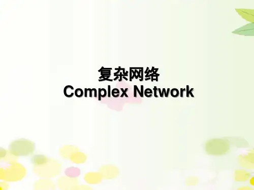 复杂网络 PPT课件