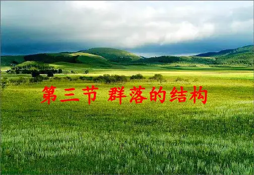 群落的结构 ppt课件