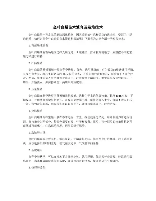 金叶白蜡苗木繁育及栽培技术