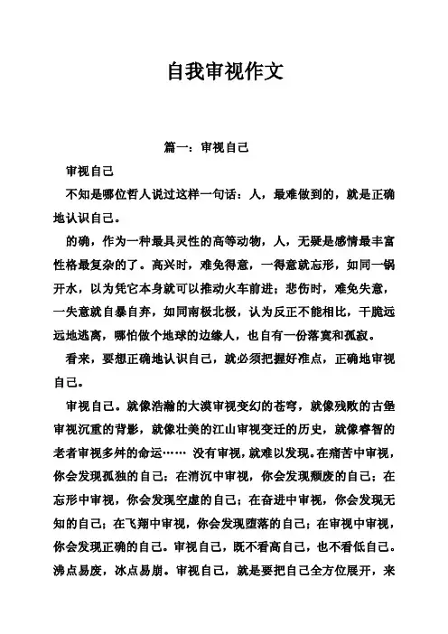 自我审视作文