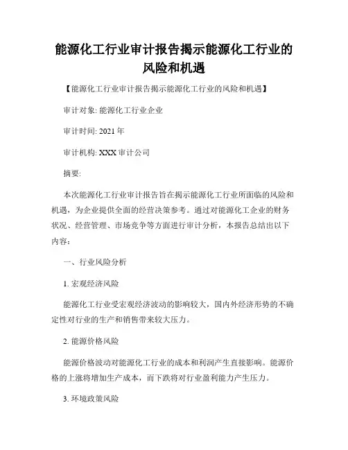能源化工行业审计报告揭示能源化工行业的风险和机遇