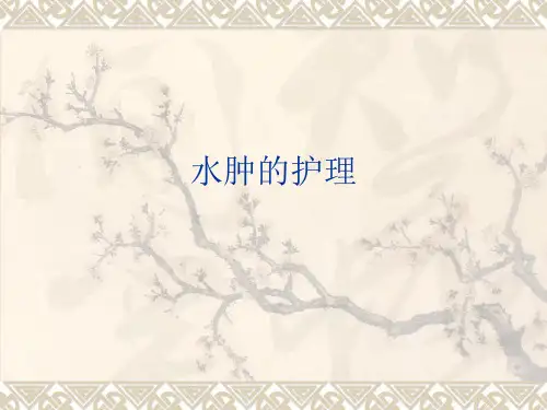 水肿的护理PPT课件