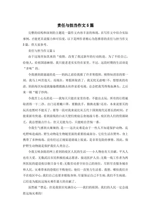 责任与担当作文5篇