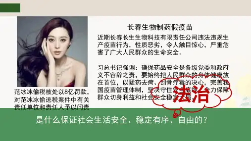 人教版九年级道德与法治上册4.1夯实法治基石 课件 (共28张PPT)