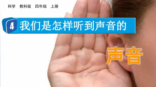 我们是怎样听到声音的小学科学四年级上册PPT
