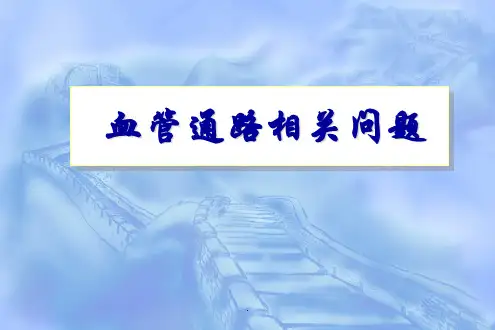 血管通路PPT课件