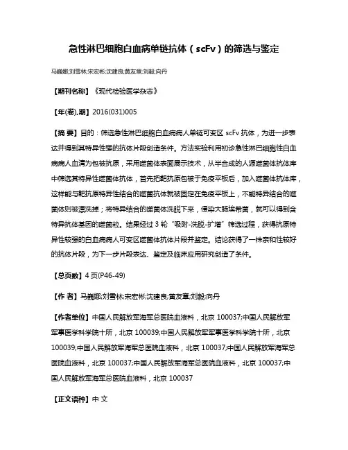 急性淋巴细胞白血病单链抗体（scFv）的筛选与鉴定