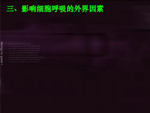 影响细胞呼吸的因素