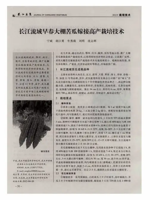 长江流域早春大棚苦瓜嫁接高产栽培技术