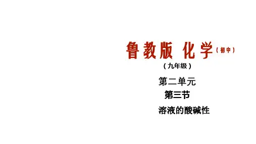 溶液的酸碱性课件(鲁教版(五四制))