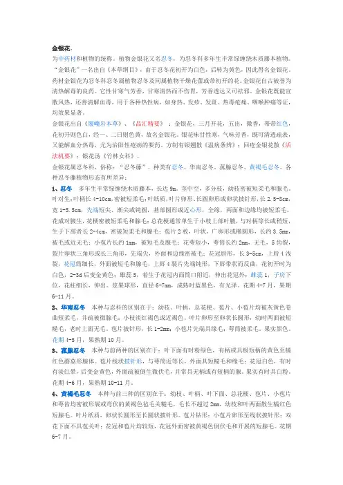 金银花