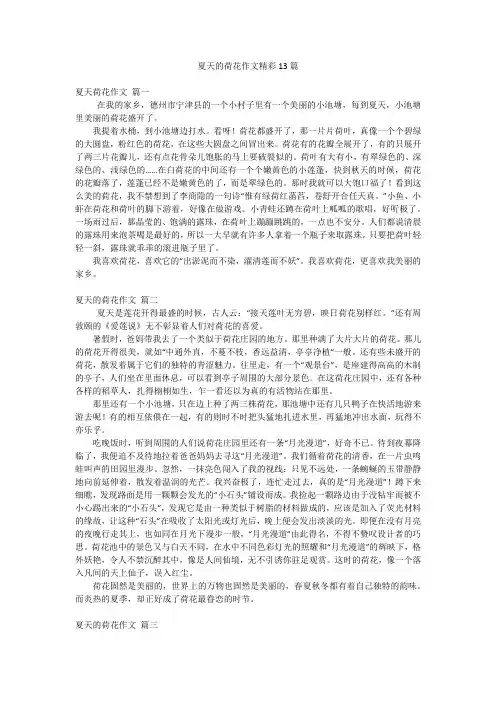 夏天的荷花作文精彩13篇