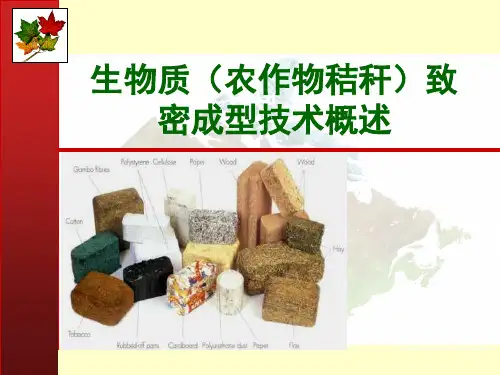 生物质(农作物秸秆)致密成型技术概述
