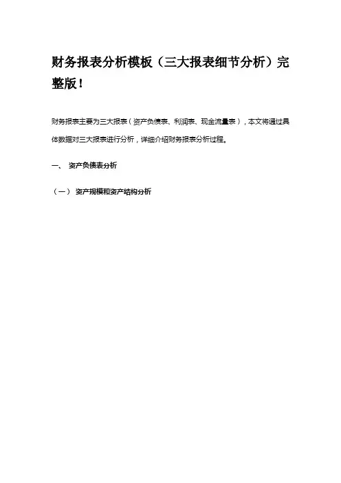 财务报表分析模板(三大报表细节分析)完整版!