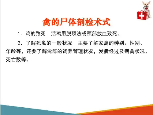 动物尸体剖检—家禽的尸体剖检(动物病理学课件)