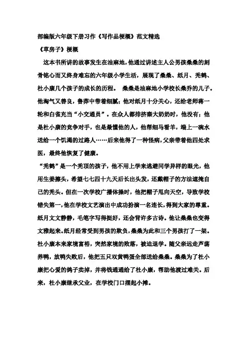 部编版六年级下册习作《写作品梗概》范文精选