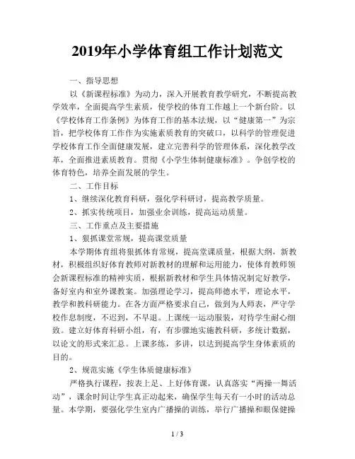 2019年小学体育组工作计划范文