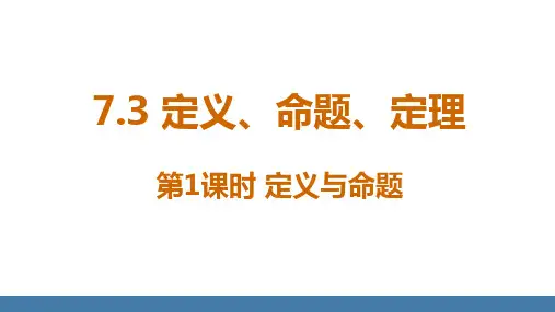 人教版初中数学七年级下册授课课件7.3 定义、命题、定理  第1课时 课件(共14张PPT)