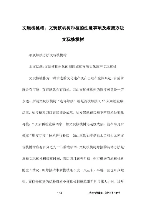 文玩核桃树：文玩核桃树种植的注意事项及嫁接方法 文玩核桃树