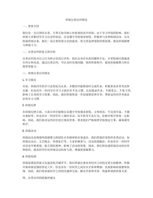 班级自查自纠情况