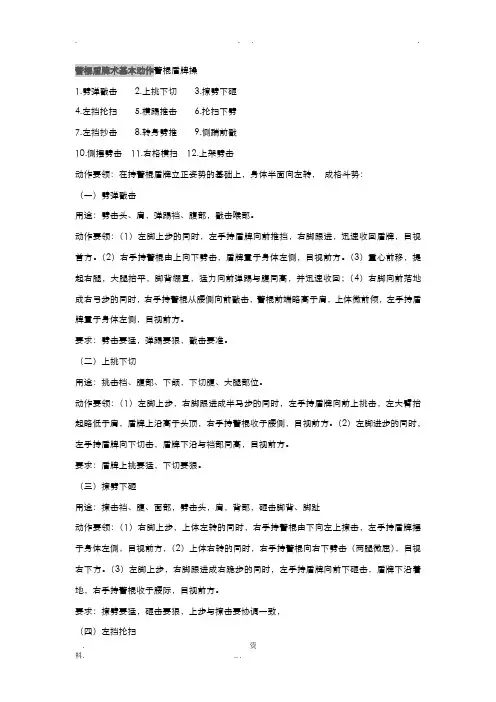 警棍盾牌术基本动作
