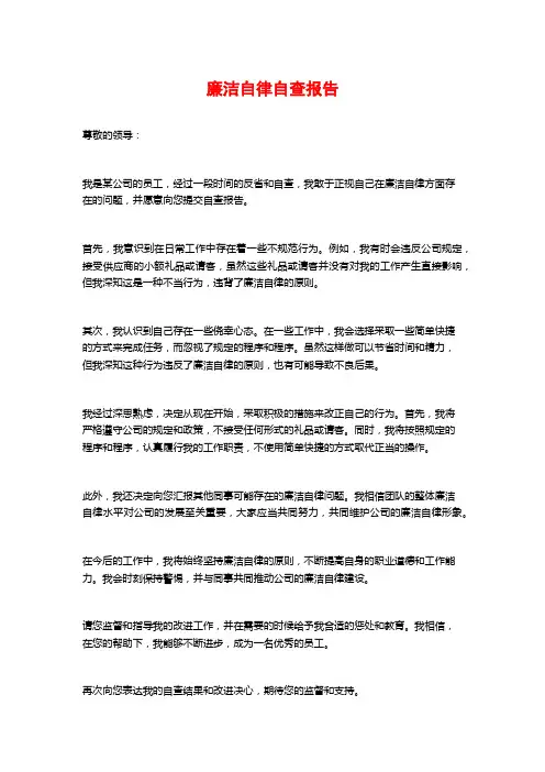 廉洁自律自查报告
