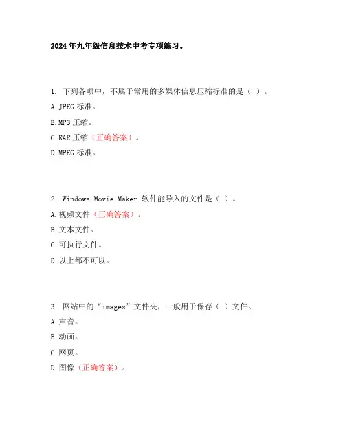 2024年九年级信息技术中考专项练习