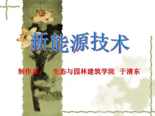 新能源技术PPT课件