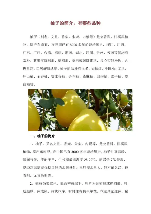 柚子的简介,有哪些品种
