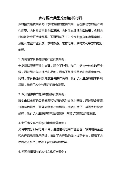 乡村振兴典型案例剖析材料