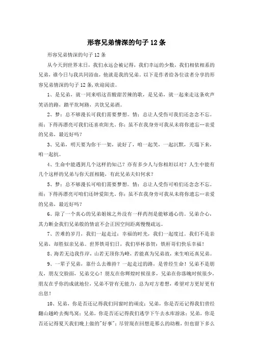 形容兄弟情深的句子12条