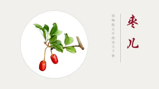 第19课《枣儿》课件(共14张ppt)  2021-2022学年部编版语文九年级下册