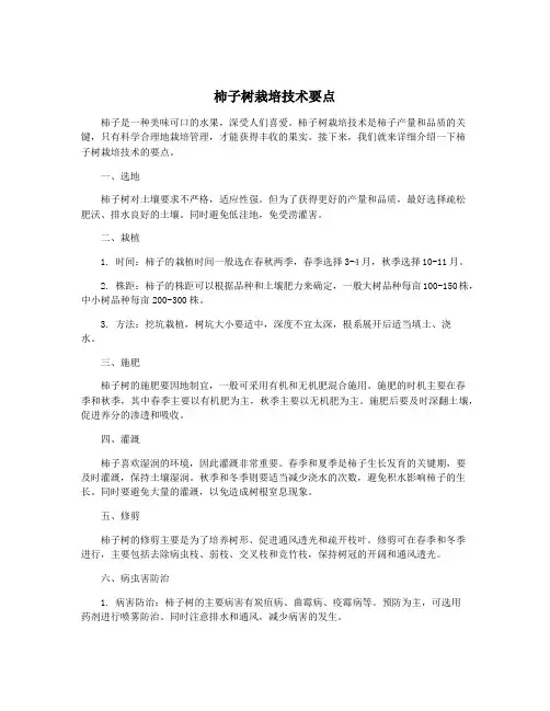 柿子树栽培技术要点