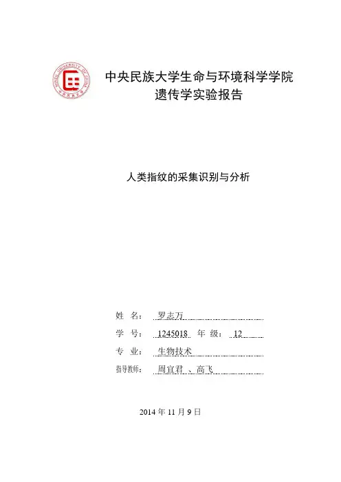遗传学实验报告--指纹