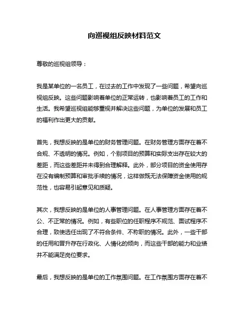 向巡视组反映材料范文
