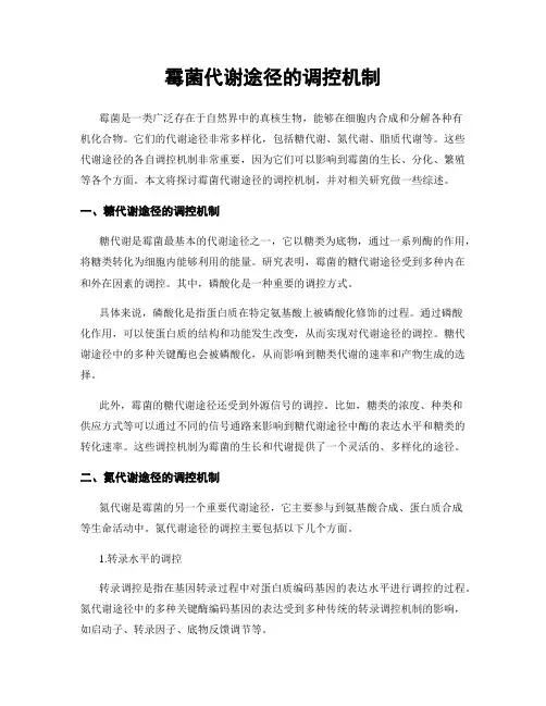 霉菌代谢途径的调控机制