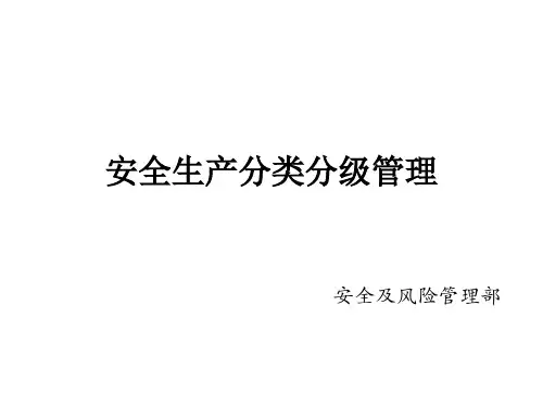 安全分类分级管理