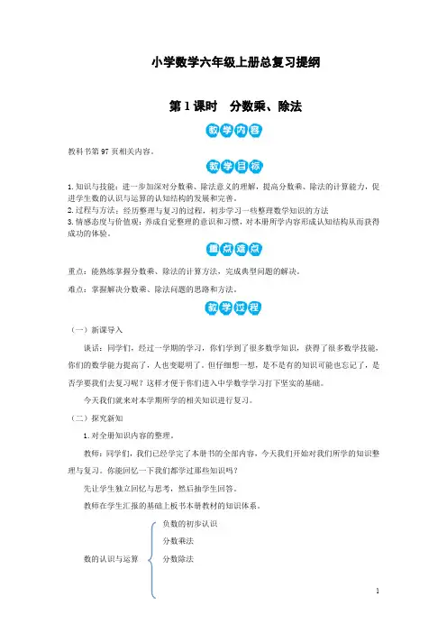 小学数学六年级上册总复习提纲