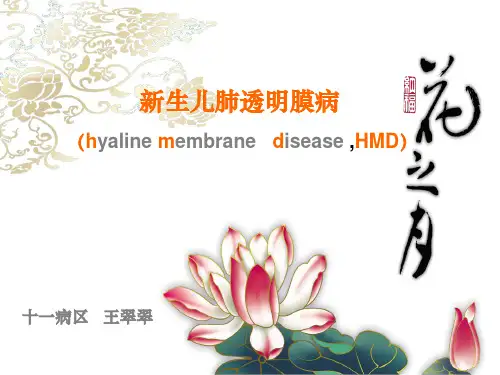 新生儿肺透明膜病