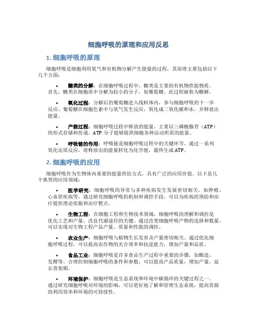 细胞呼吸的原理和应用反思