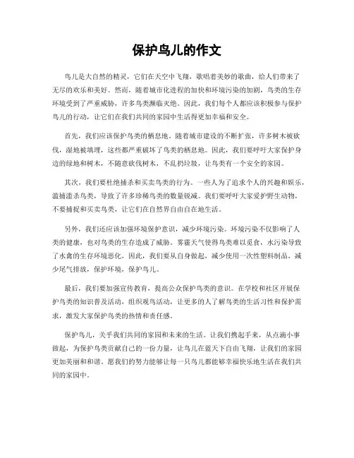 保护鸟儿的作文