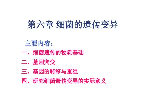 细菌的遗传与变异知识分享