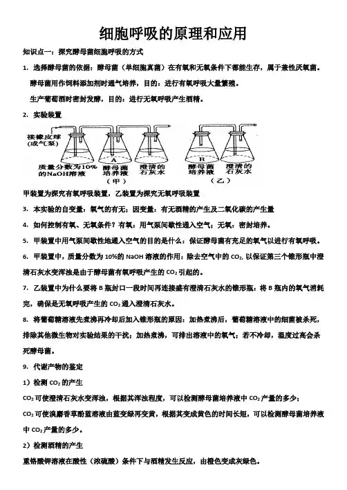 高中生物【细胞呼吸的原理和应用】
