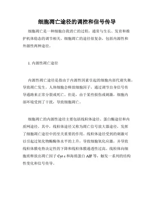 细胞凋亡途径的调控和信号传导