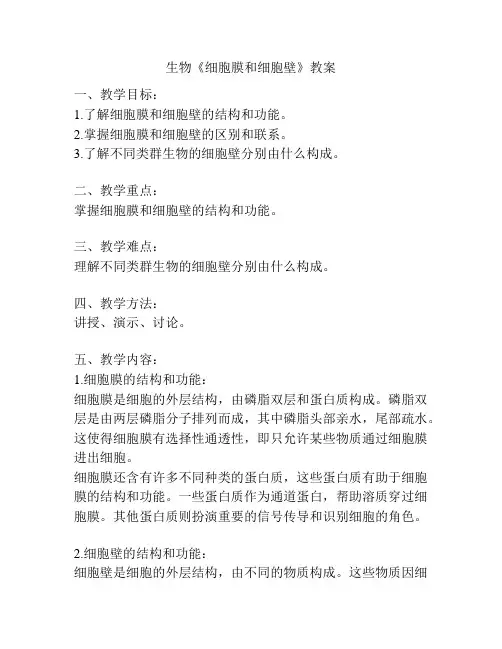生物《细胞膜和细胞壁》教案