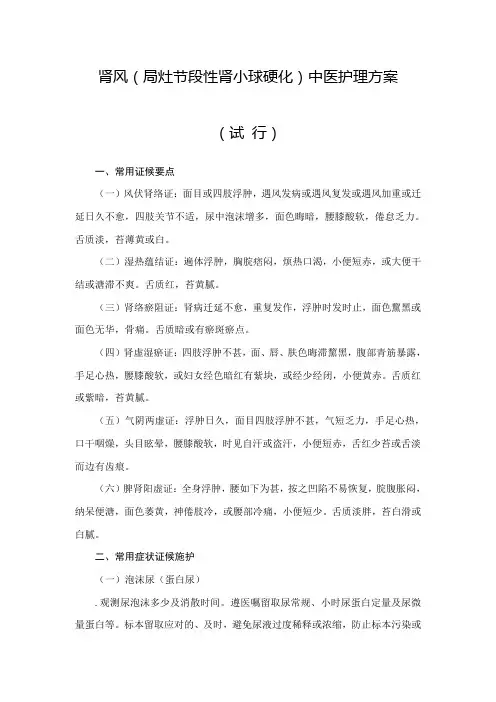 肾风中医护理方案样本
