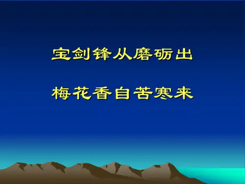 公路超高