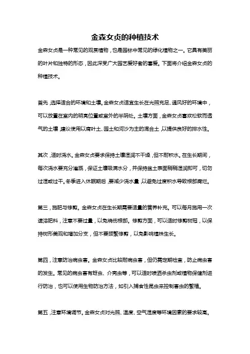 金森女贞的种植技术